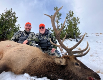 Sns Wyoming Wilderness Elk 2026 19.jpg
